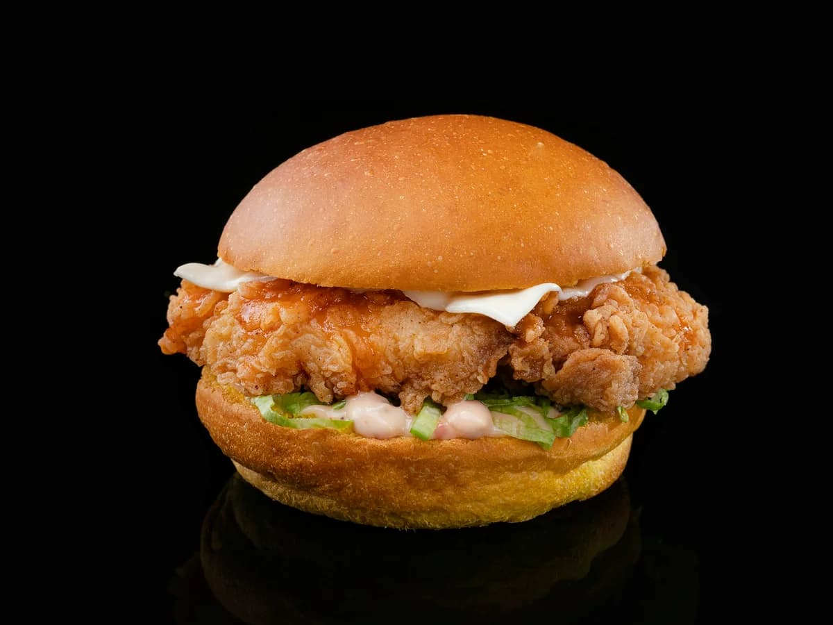 Tavuk Burger & Patates Kızartması – temsili görsel